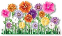 Wild Mix - Cottage Garden Cut Flowers , Flowers